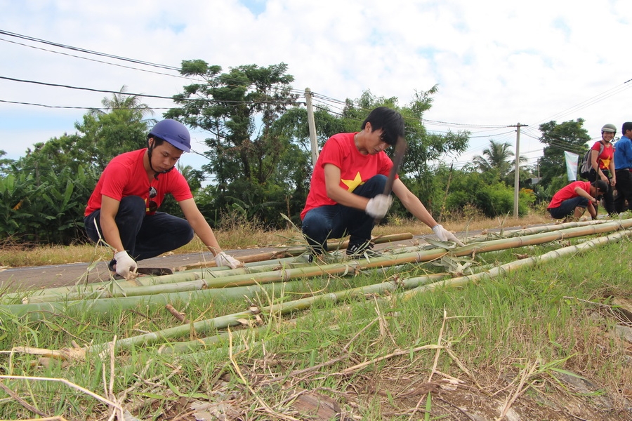 Mỗi thành viên tự giác thực hiện một công viêc, như chặt tre