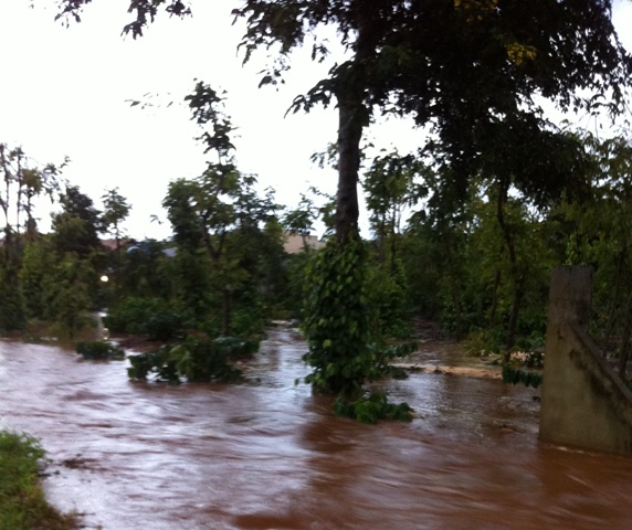 Nhiều vườn cây hai bên đường cũng bị ngập trong nước