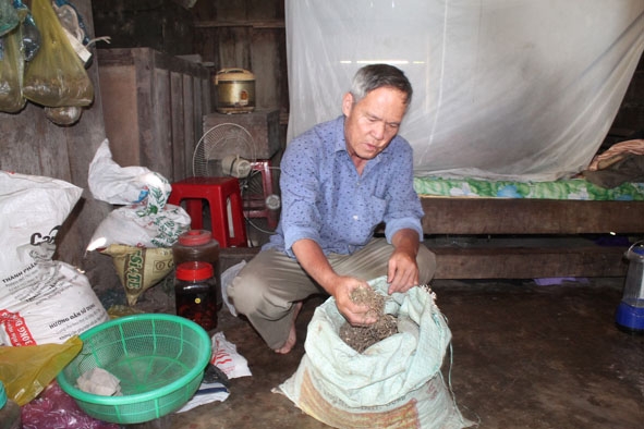 Ông Vi Văn Đào với bài thuốc chữa rắn cắn  gia truyền.