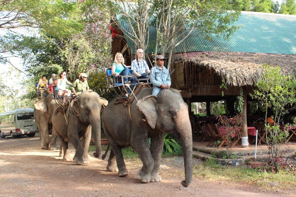  Cưỡi voi du ngoạn là một sản phẩm đặc sắc của ngành du lịch Dak Lak.  Ảnh: Hoàng Gia