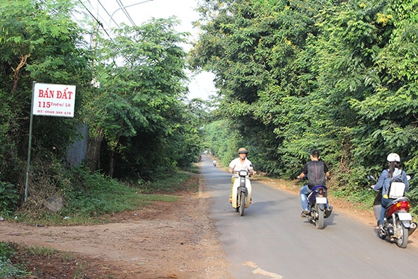 Một điểm rao sang nhượng đất trên đường Mai Thị Lựu, TP. Buôn Ma Thuột.