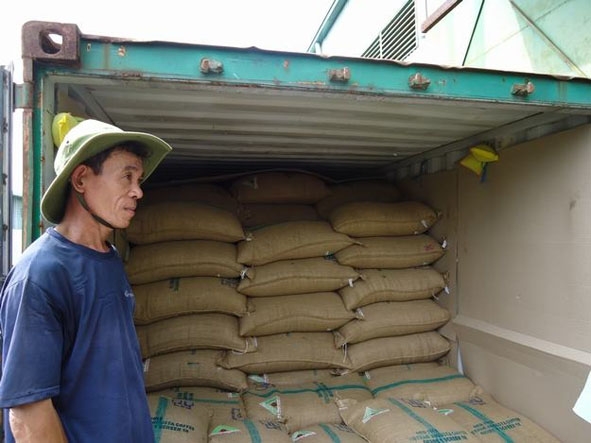 Lô hàng cà phê nhân Robusta xuất khẩu có gắn logo Cà phê Buôn Ma Thuột  của Công ty TNHH MTV Xuất nhập khẩu 2-9 Dak Lak. 