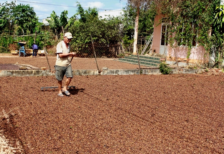 Mọi góc sân hay khoảng đất trống đều được tận dụng làm sân phơi