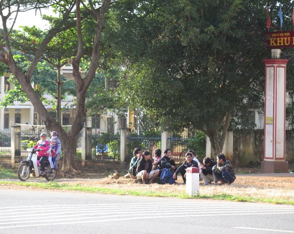 Những lao động ở các tỉnh Quảng Ngãi, Phú Yên... tập trung bên đường  (Quốc lộ 14) để chờ người đến thuê hái cà phê. 