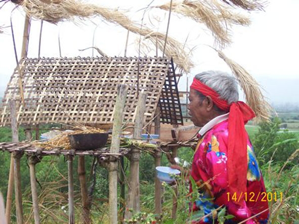 Thầy cúng đang làm lễ cúng tuốt lúa (ảnh minh họa).