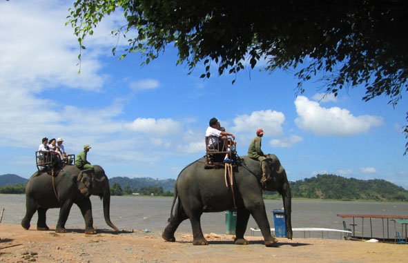 Cưỡi voi du ngoạn hồ Lak và tham quan buôn làng thu hút đông đảo  du khách mỗi khi đến nơi đây.