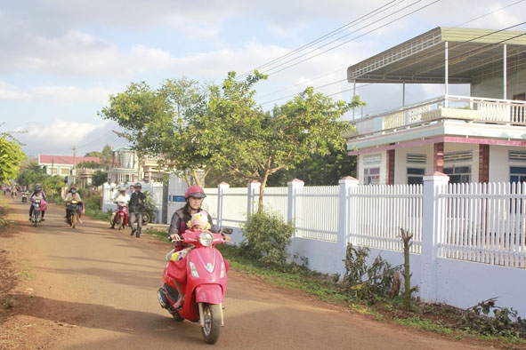 Hầu hết các tuyến đường nông thôn ở xã Hòa Thuận (TP. Buôn Ma Thuột)  đã được rải nhựa hoặc bê tông hóa. (Trong ảnh: Một đoạn đường  tại thôn 7, xã Hòa Thuận).