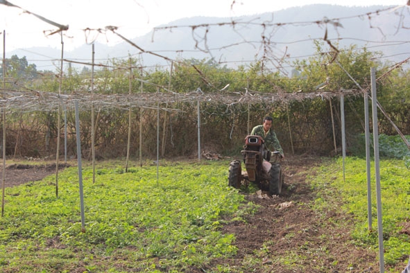 Nông dân xã Hòa Hiệp, huyện Cư Kuin chuẩn bị đất để trồng rau an toàn.