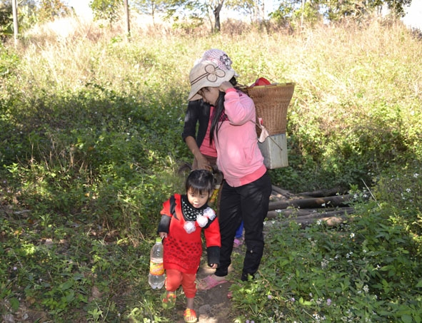 Gùi nước về.