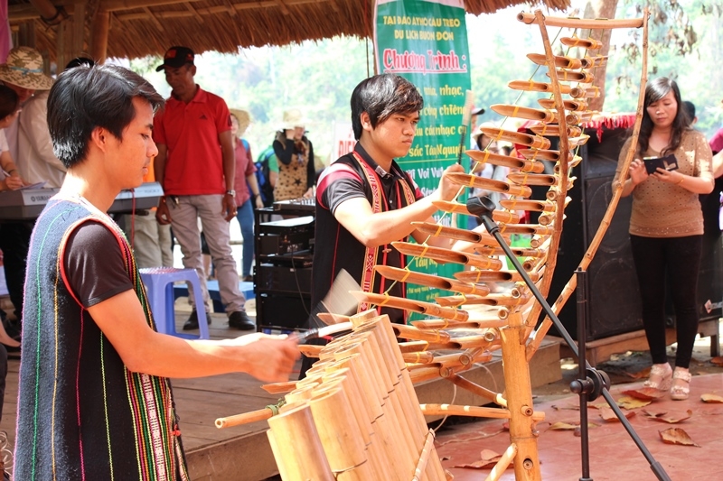 ... đến âm điệu của núi rừng