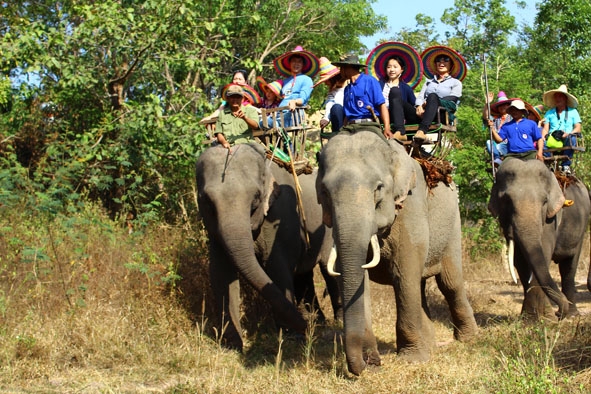 Du khách cưỡi voi tham quan tại Trung tâm Du lịch Buôn Đôn. 