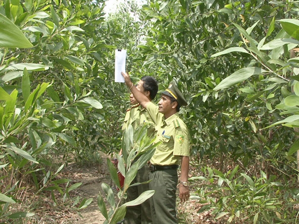 Lực lượng kiểm lâm huyện M’Drak kiểm tra công tác PCCCR tại  tiểu khu 733, 734 (thuộc  địa bàn xã  Ea Mdoal, huyện M’Drak).