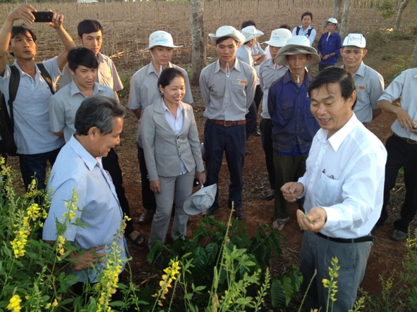 Tiến sĩ Lê Ngọc Báu thuyết trình cho khách tham quan vườn cà phê triển khai mô hình tưới nước tiết kiệm.