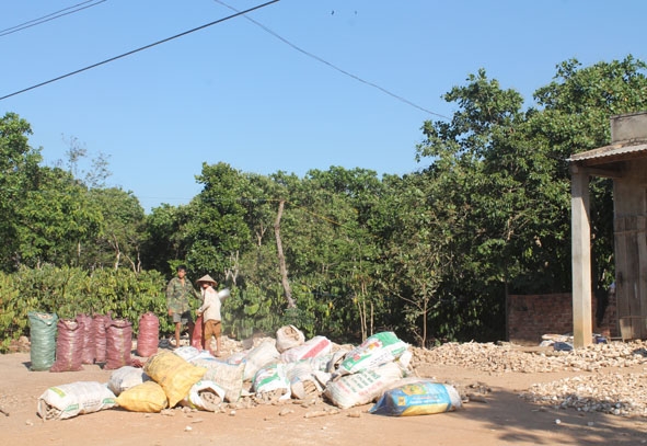 Ô nhiễm môi trường từ chế biến nông sản vào vụ mùa thu hoạch ở xã Cư Êlang.