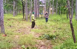  Phát dọn thực bì PCCCR tại Vườn Quốc gia  Yok Đôn.