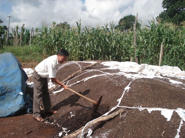 Nông dân phường Thiện An (thị xã Buôn Hồ) tận dụng phế phẩm nông nghiệp làm phân vi sinh góp phần bảo vệ môi trường.