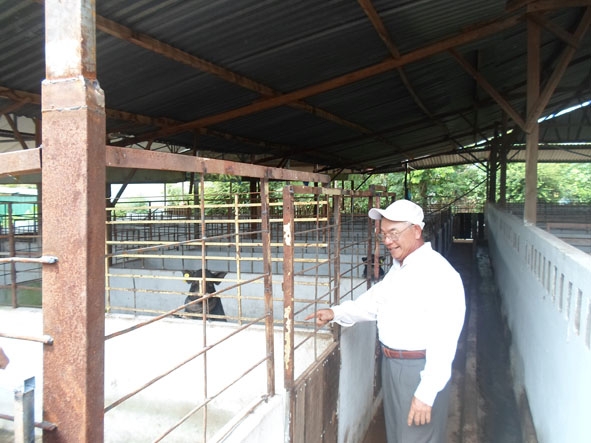 Ông Nguyễn Văn Minh bên trang trại chăn nuôi heo rừng.