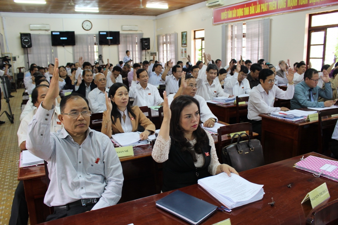 Biểu quyết