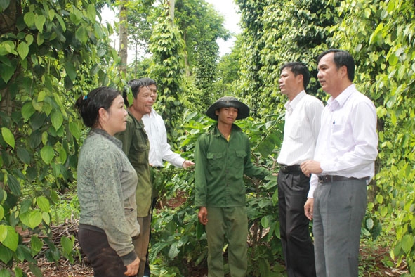 Phó Bí thư Thường trực Huyện ủy Cư Kuin Lê Thái Dũng (người đứng đầu bên phải)                thăm một hộ nông dân sản xuất giỏi tại xã Ea Bhốk.                                               Ảnh: K.O