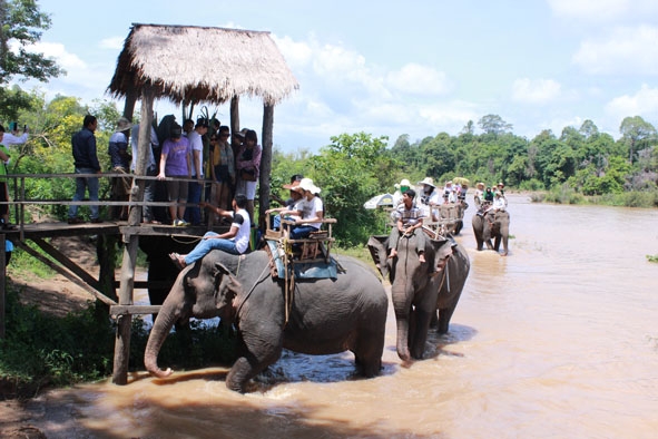 Du khách cưỡi voi vượt sông Srêpôk tại Trung tâm du lịch Buôn Đôn.