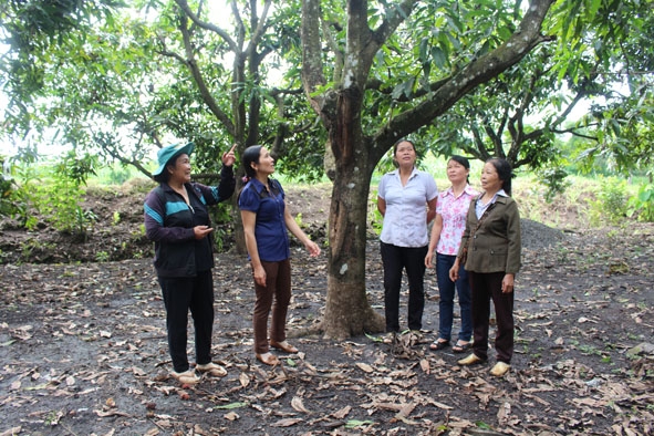 Hội viên phụ nữ xã Ea M’nang tham quan mô hình trang trại tổng hợp của gia đình chị Nguyễn Thị Sơn.