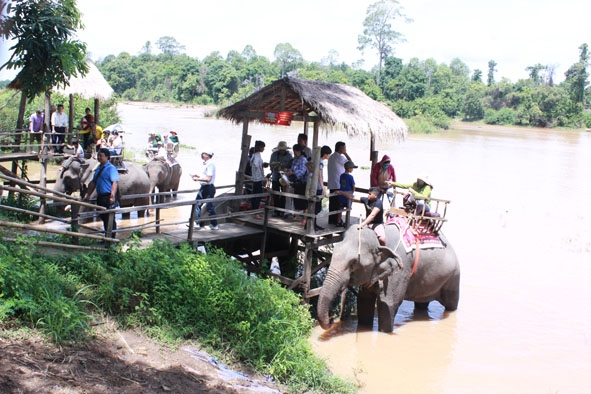 Khách tham gia cưỡi voi tại Trung tâm du lịch Buôn Đôn. 