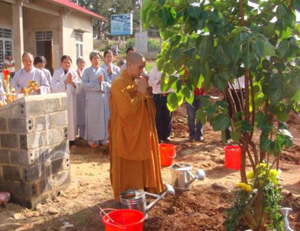 Đại đức Thích Trí Minh tham gia trồng cây tại lễ đặt đá xây dựng Trung tâm dưỡng lão Phổ Minh.