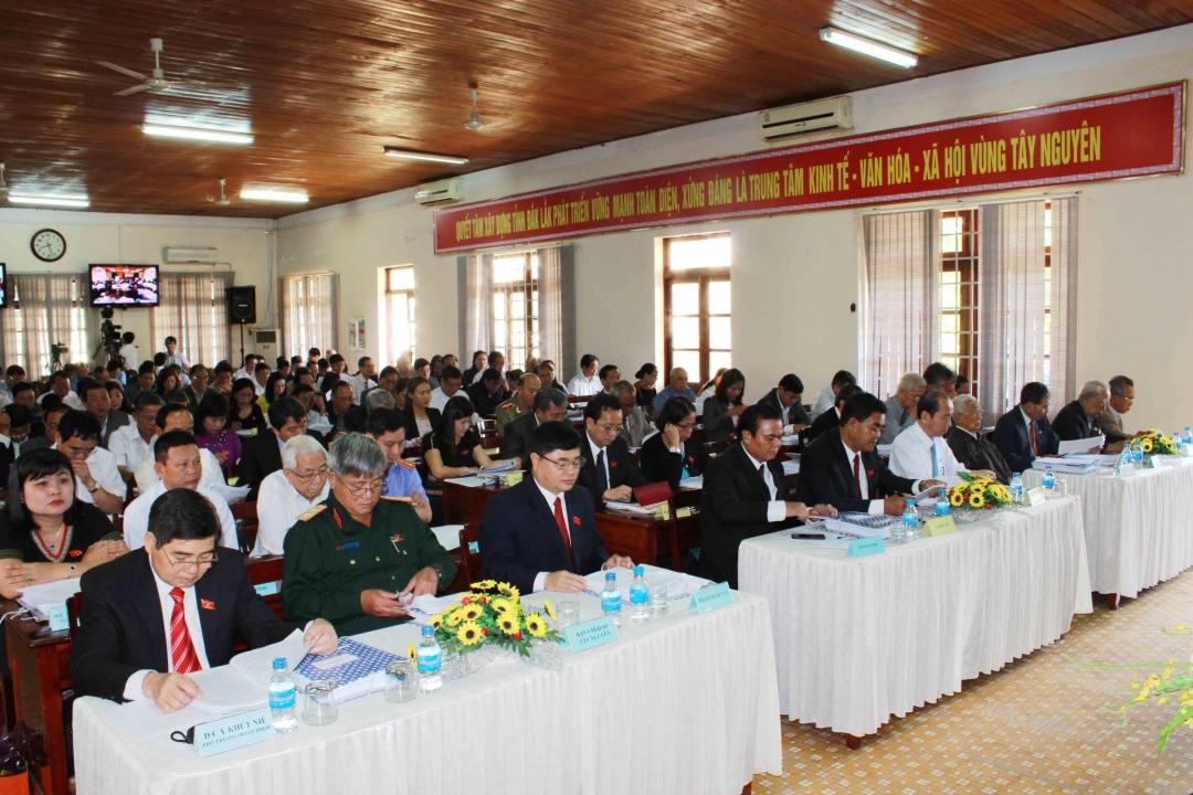 Các đại biểu tham gia 