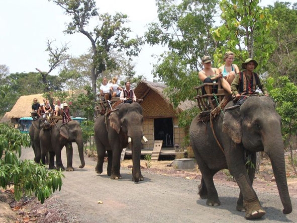 Du khách cưỡi voi ở khu du lịch Buôn Đôn.  