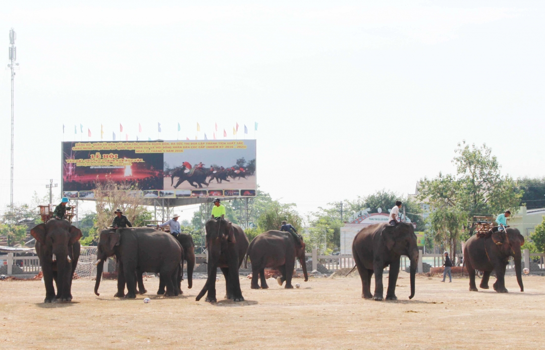 Khỏa