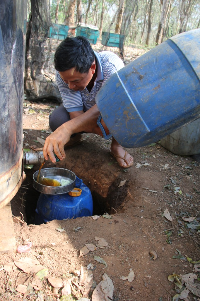 Hứng mật
