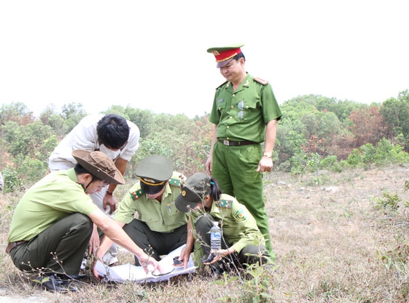 Kiểm tra, xác định vị trí các công trình PCCCR trên bản đồ tại diện tích rừng trồng của Công ty Cổ phần trồng rừng Trường Thành. 