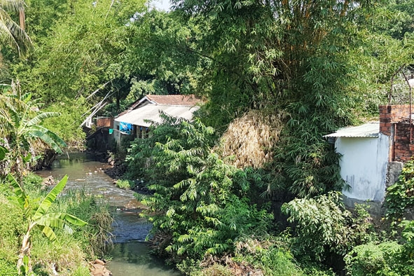 Hành lang suối Ea Tam đoạn chảy qua đường Tuệ Tĩnh bị người dân kè lấn.