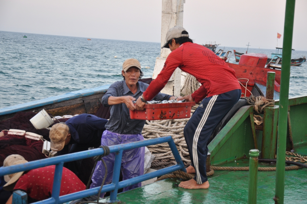 Đây cũng là nơi đón tàu đánh cá của ngư dân Lý Sơn