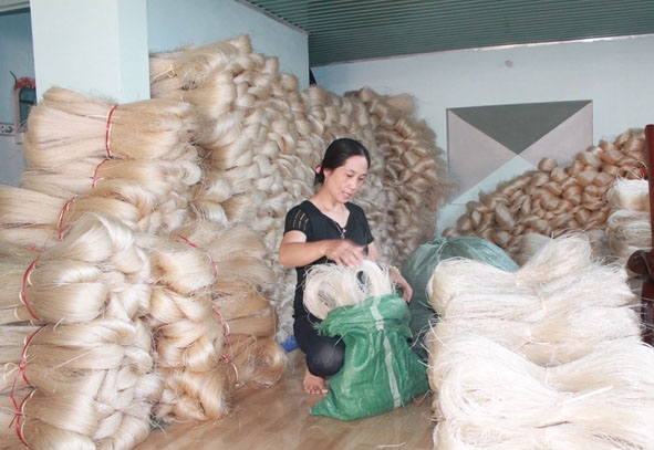 Chị Hiệp đóng gói miến dong để giao cho khách hàng.