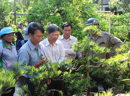 Cán bộ Hội Nông dân TP. Buôn Ma Thuột tham quan mô hình sản xuất của hội viên