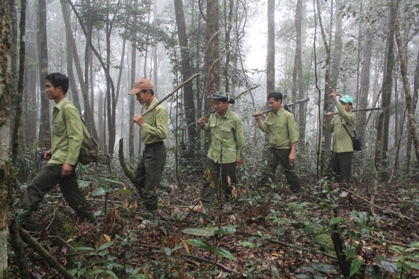         Lực lượng kiểm lâm ở VQG Chư Yang trong  một chuyến tuần tra bảo vệ rừng.