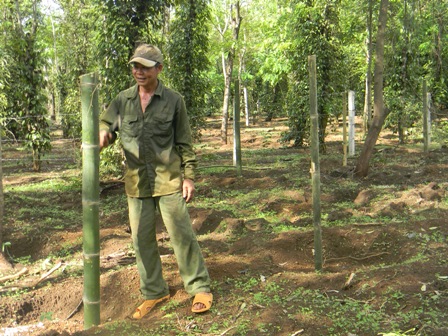 Trụ tiêu bằng...