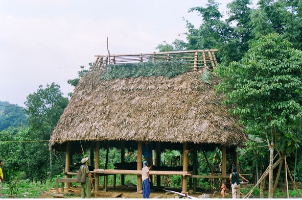 Người Cơ Tu thôn Áp Lô 2, xã A Vương, huyện Tây Giang (Quảng Nam) giúp nhau khôi phục lại gươl (ngôi nhà làng truyền thống).