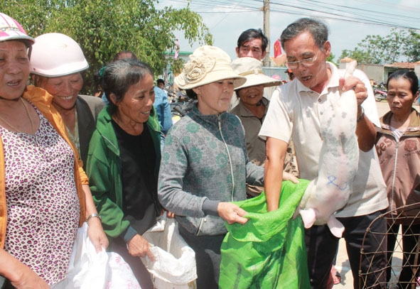            Người khuyết tật  và gia đình  có người khuyết tật nhận  heo giống do Hội  Bảo trợ NTT-TMC tỉnh  trao tặng.