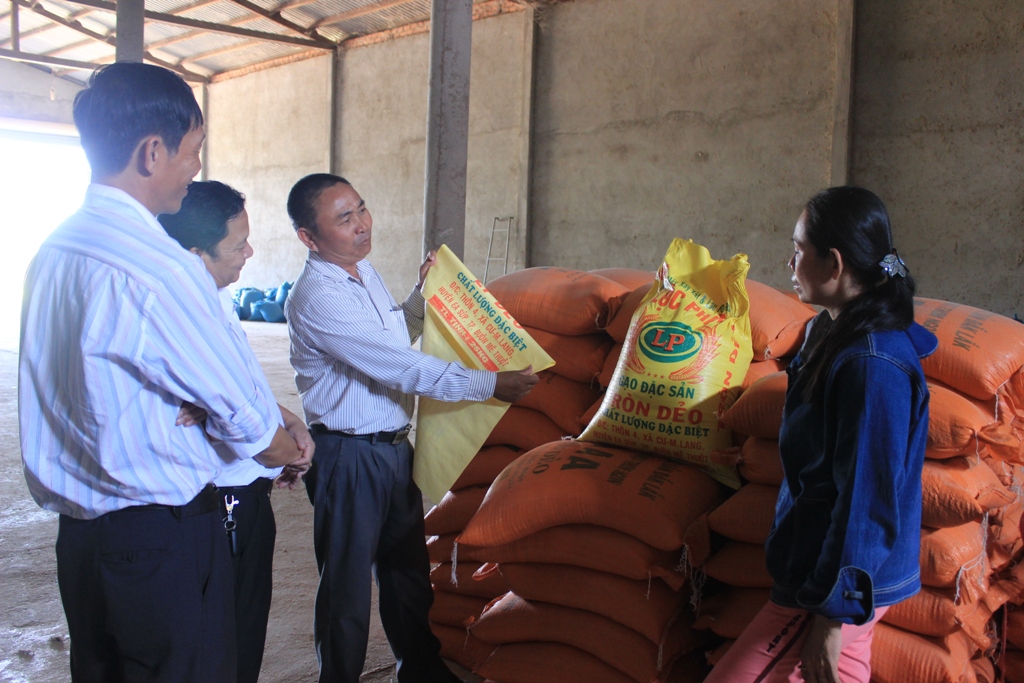 Cơ quan chức năng khảo sát, tìm hiểu đầu ra cho sản phẩm tại Nhà máy xay xát gạo Lộc Phát (Ea Súp).