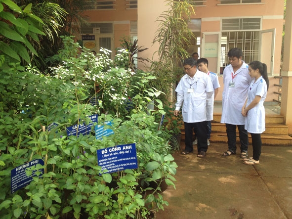 Trạm Y tế xã Quảng Tiến xây dựng vườn cây thuốc nam với đủ chủng loại theo quy định.