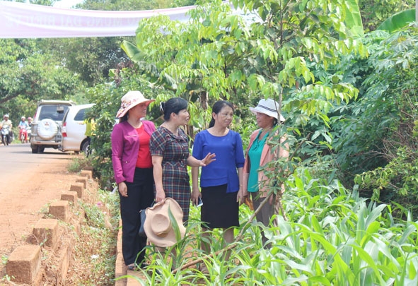 Hội viên phụ nữ tham quan mô hình 