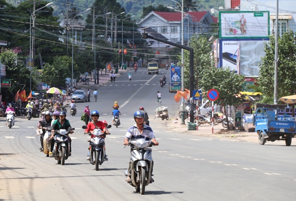 Lãnh đạo huyện Krông Bông kiểm tra cánh đồng mía ở xã Hòa Sơn.  Ảnh: Nguyên Hoa