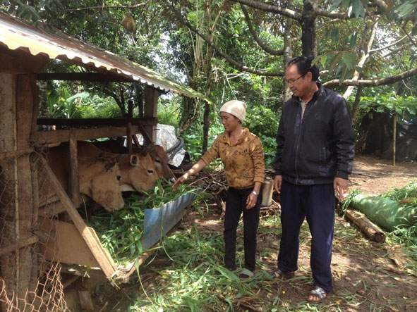 Ông Y Tlac B’dap hướng dẫn bà con trong buôn xây dựng chuồng trại chăn nuôi hợp vệ sinh. 