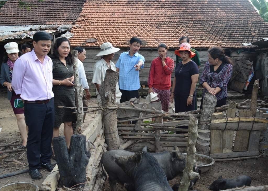 Khảo sát thực tế một hộ thoát nghèo nhờ vốn vay Ngân hàng Chính sách xã hội