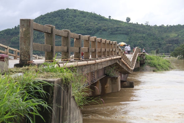 Cầu Cư Păm trên tỉnh lộ 9 (huyện Krông Bông)  bị võng nhịp do ảnh hưởng của mưa bão.