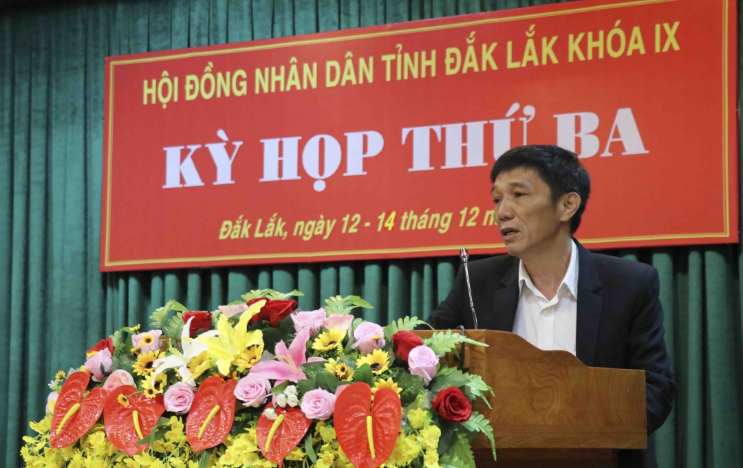 Đại diện