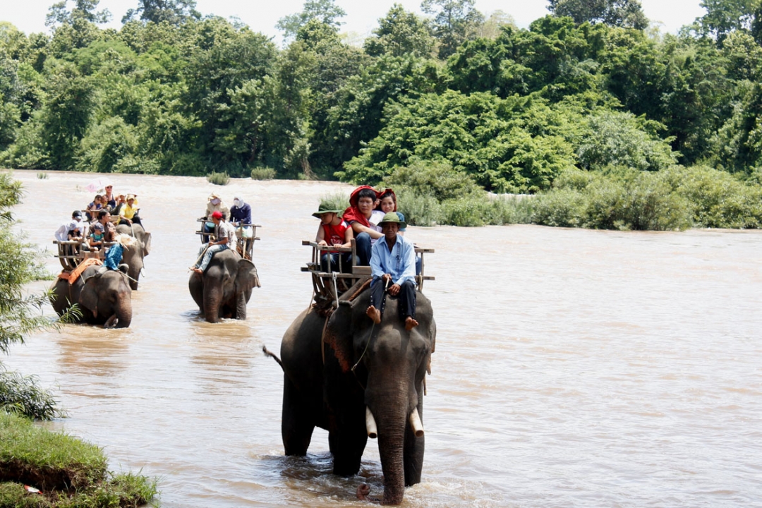 Du khách cưỡi voi dọc sông Sêrêpôk, tham quan rừng nguyên sinh Yok Đôn.