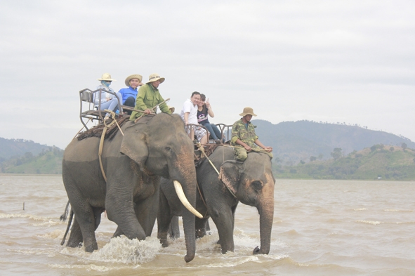u khách cưỡi voi du ngoạn hồ Lắk.